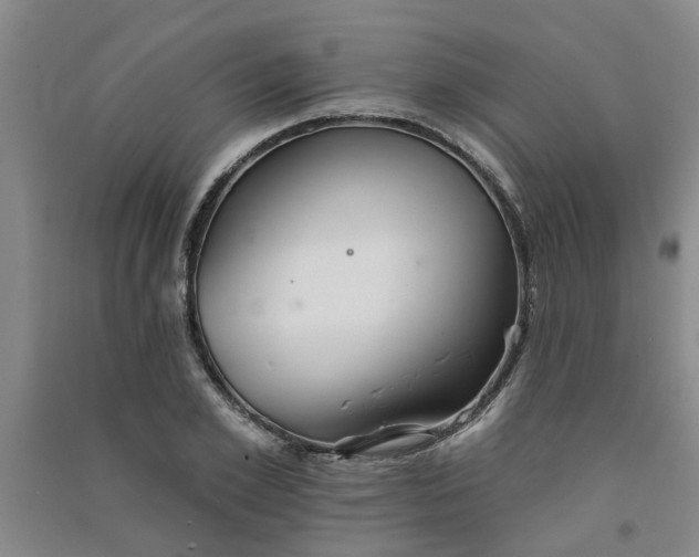 X0000091370981200708171541