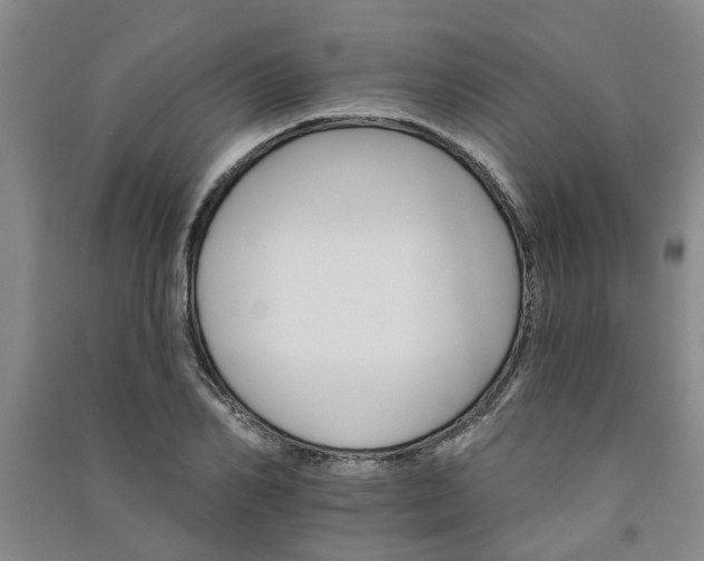 X0000091370982200708171541