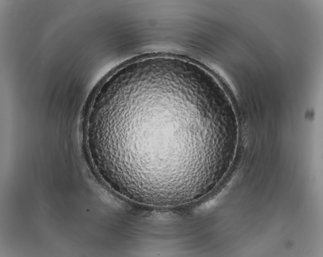 X0000091370983200708171541