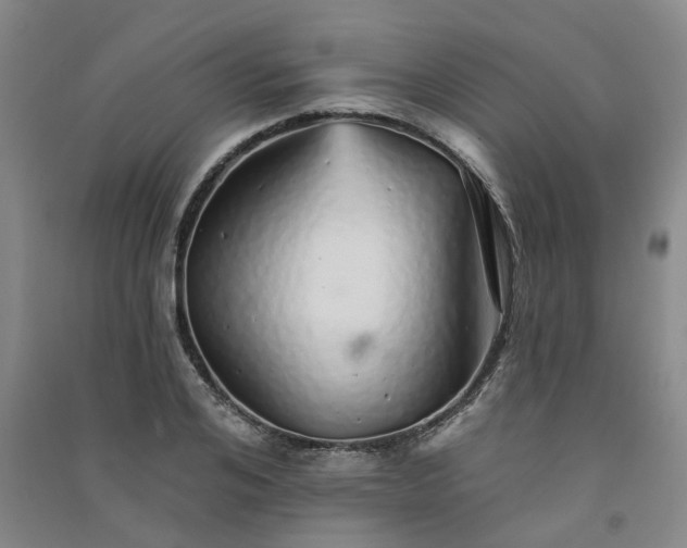 X0000091370984200708171541