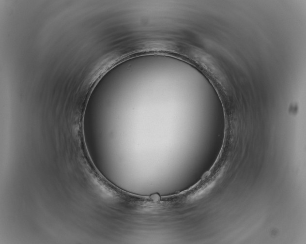 X0000091370985200708171541