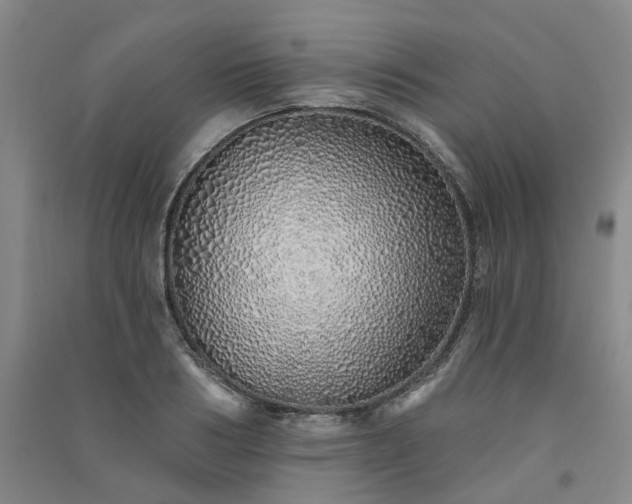 X0000091370986200708171541