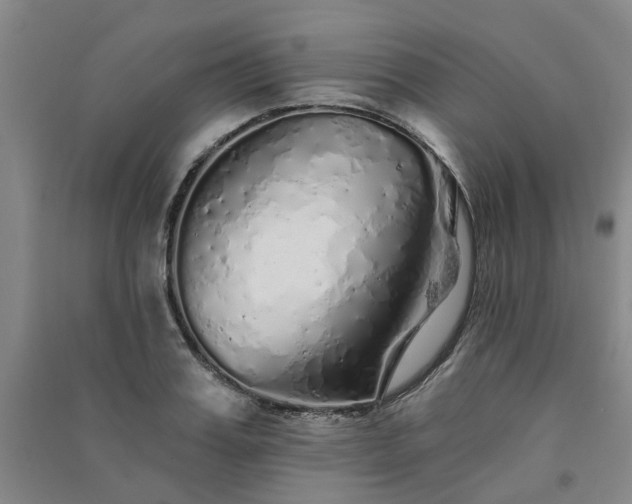 X0000091370987200708171541