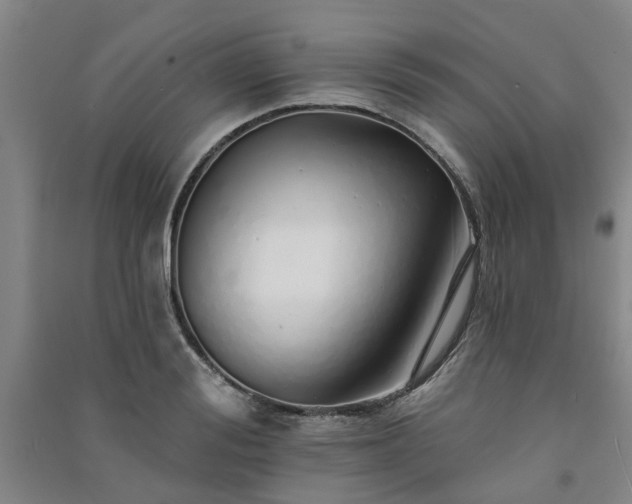 X0000091370988200708171541