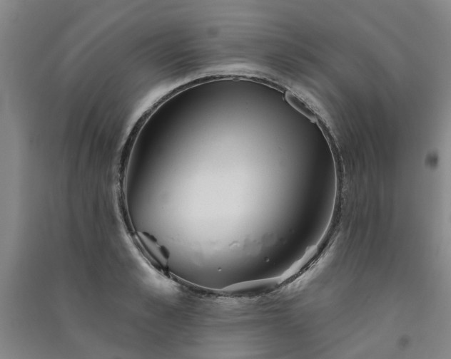 X0000091370989200708171541