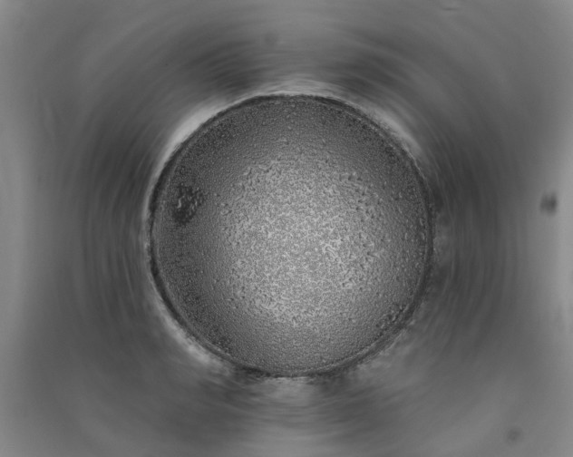 X0000091370990200708171541