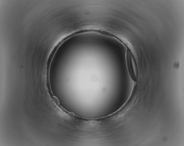 X0000091370992200708171541