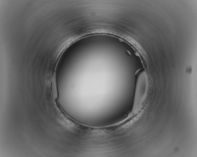 X0000091370993200708171541