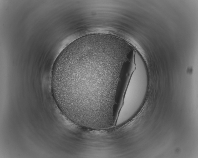 X0000091370994200708171541