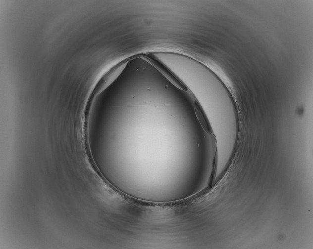 X0000091370996200708171541