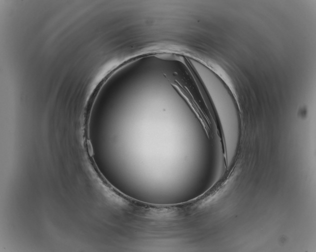 X0000091370997200708171541