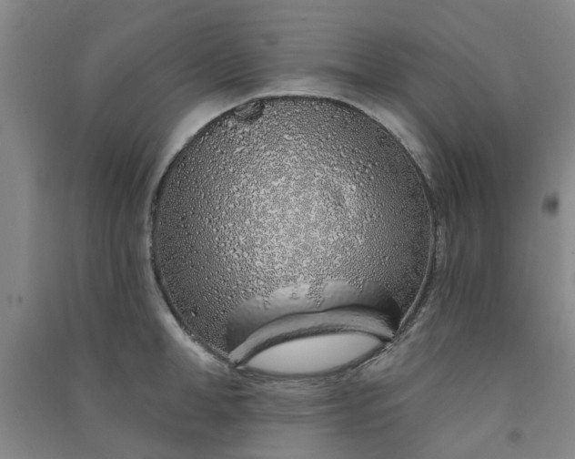 X0000091370998200708171541