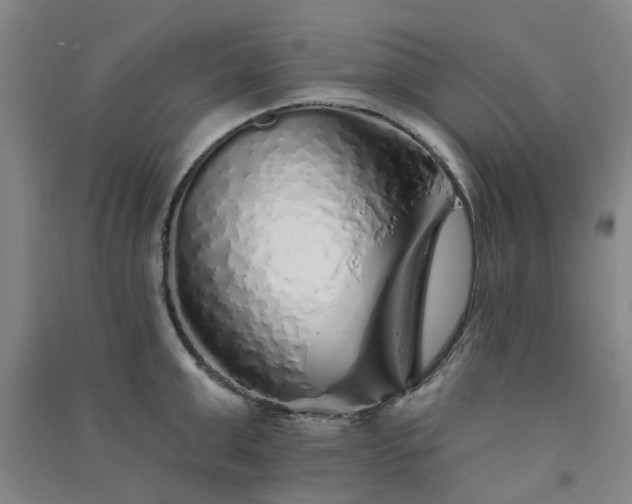 X0000091370999200708171541