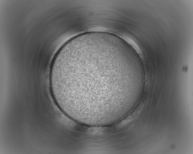 X0000091371000200708171541