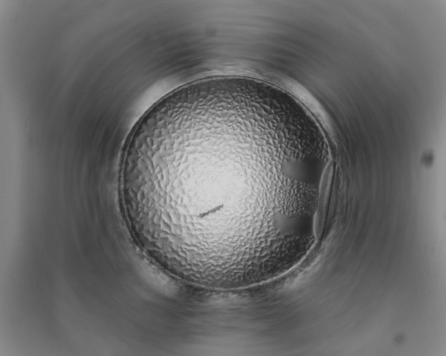 X0000091371002200708171541