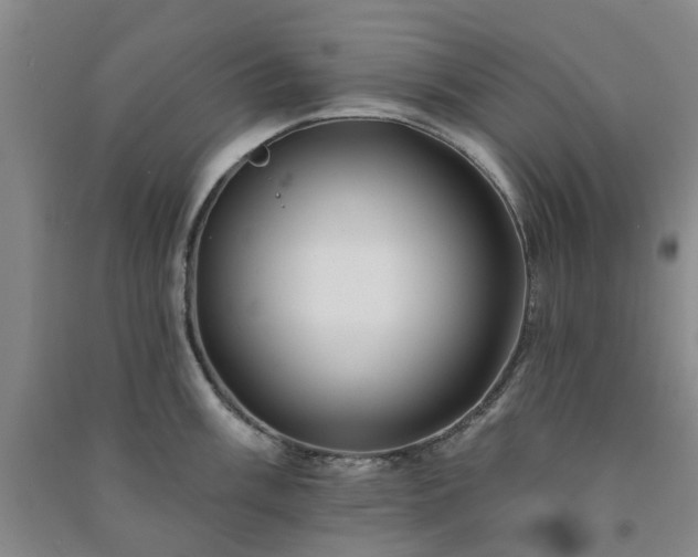 X0000091371003200708171541