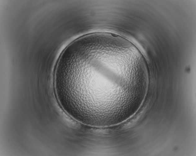 X0000091371004200708171541