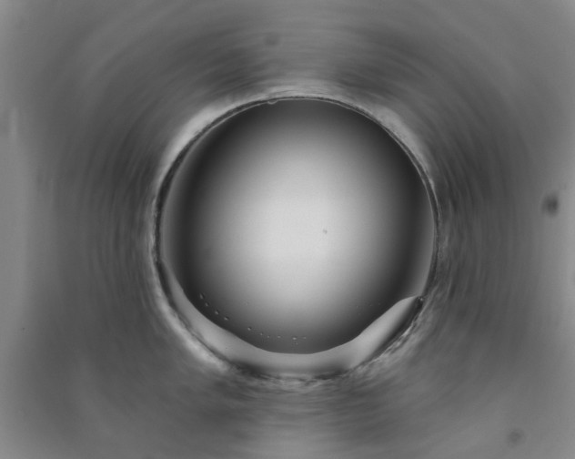 X0000091371005200708171541