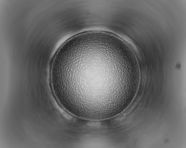 X0000091371006200708171541