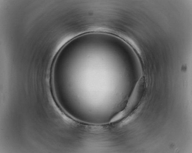 X0000091371007200708171541