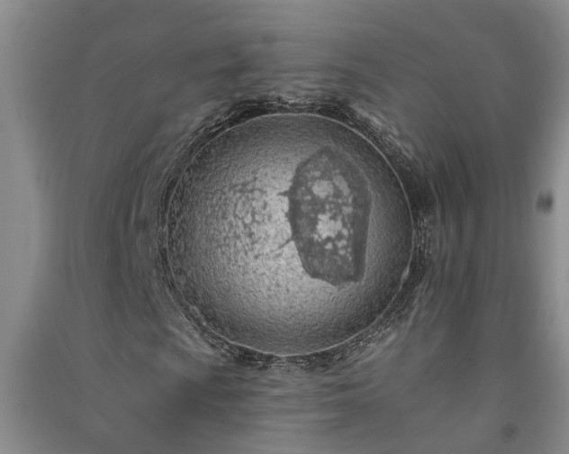 X0000091371009200708171540