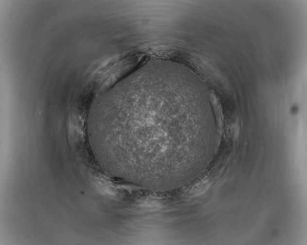 X0000091371010200708171540