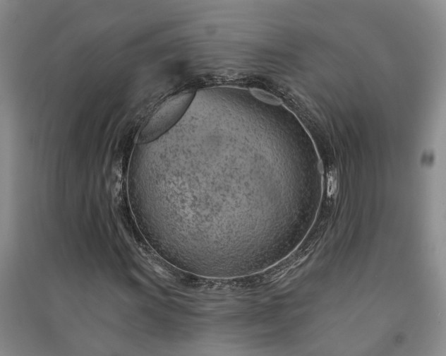 X0000091371011200708171540