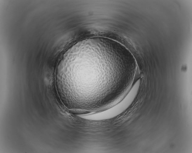 X0000091371012200708171540