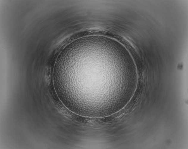 X0000091371015200708171540