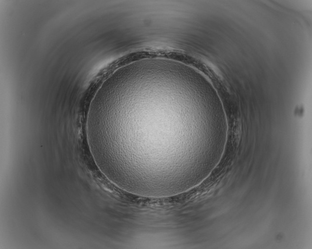 X0000091371016200708171540