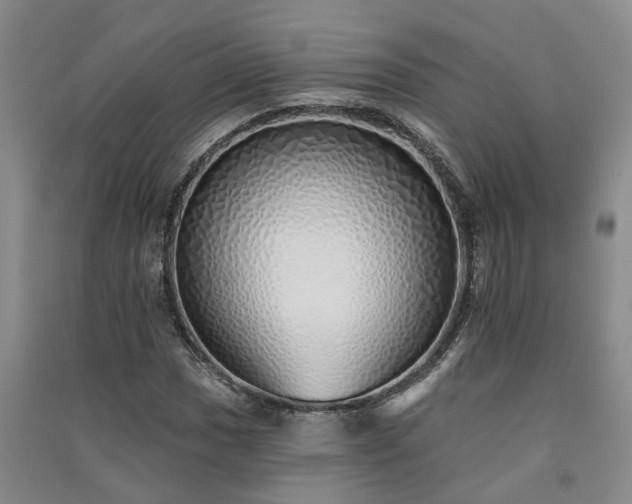 X0000091371017200708171540