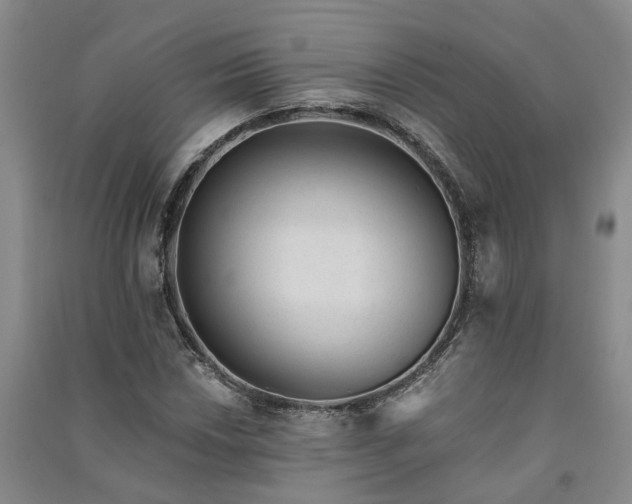 X0000091371018200708171540