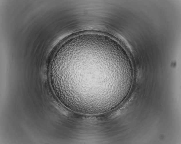 X0000091371019200708171540