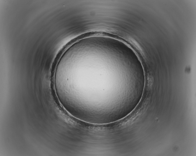 X0000091371020200708171540