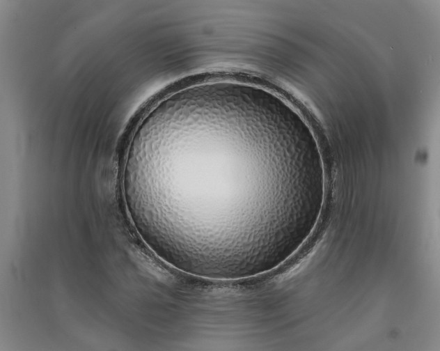 X0000091371021200708171540