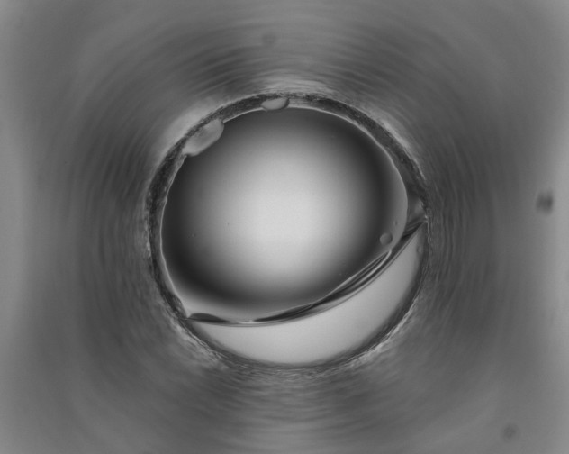 X0000091371022200708171540