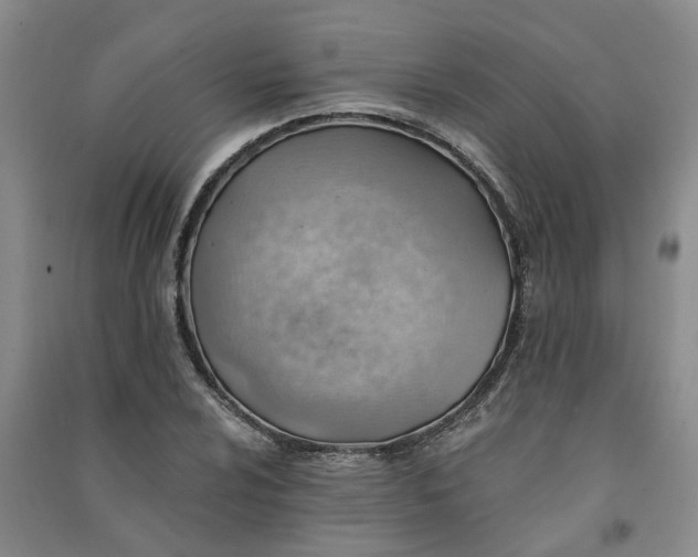 X0000091371024200708171540