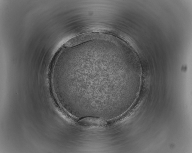 X0000091371026200708171540