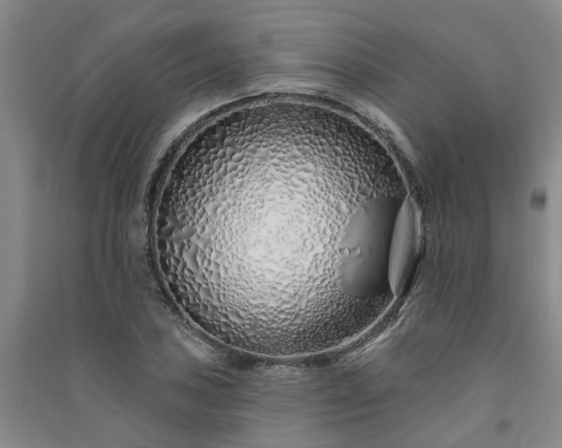 X0000091371027200708171540