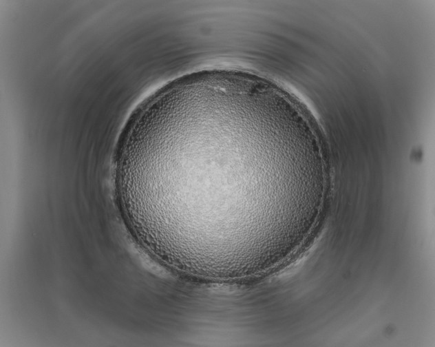 X0000091371029200708171540