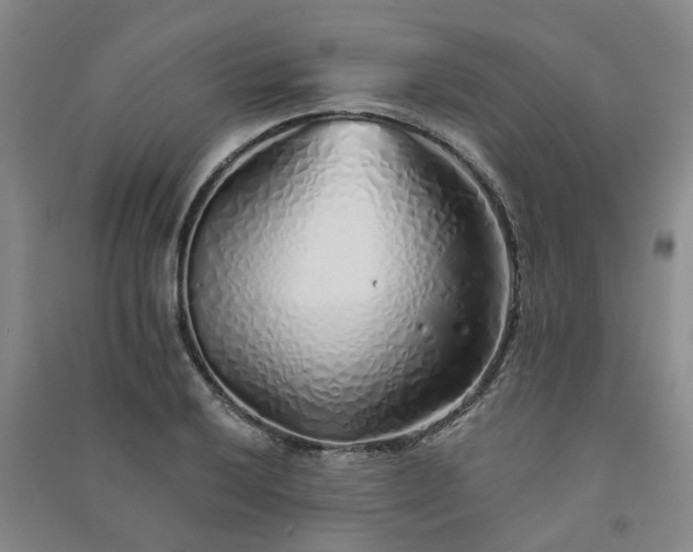 X0000091371032200708171541