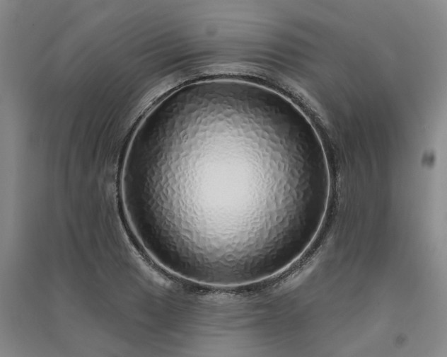 X0000091371033200708171541