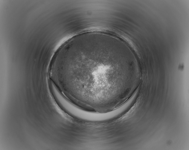 X0000091371034200708171541