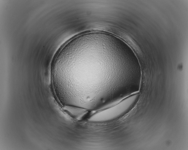 X0000091371036200708171541