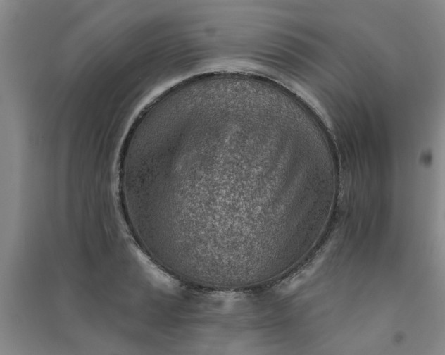 X0000091371037200708171541