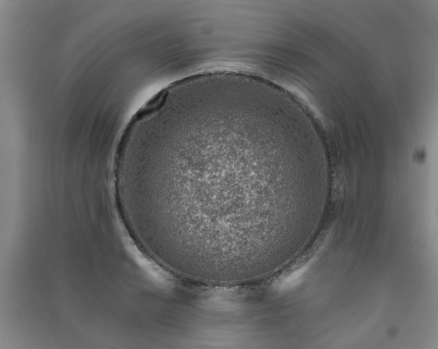 X0000091371038200708171541