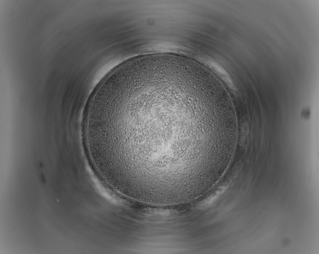 X0000091371039200708171541