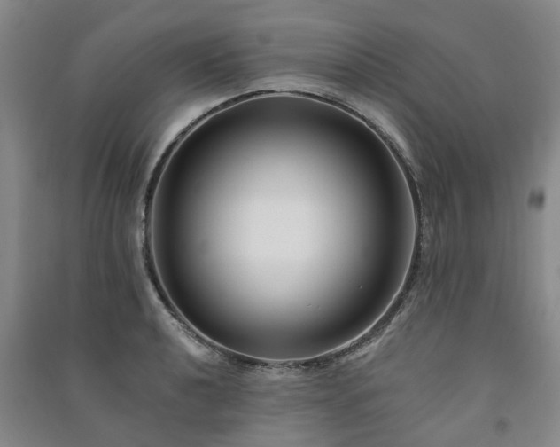 X0000091371040200708171541