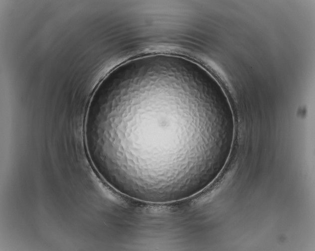 X0000091371041200708171541