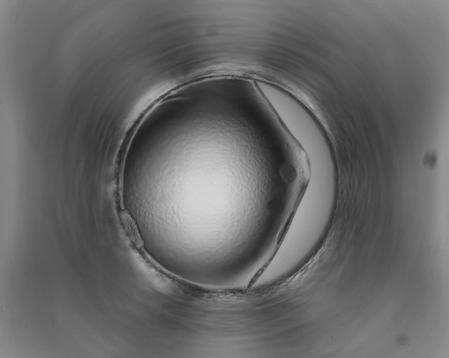 X0000091371042200708171541